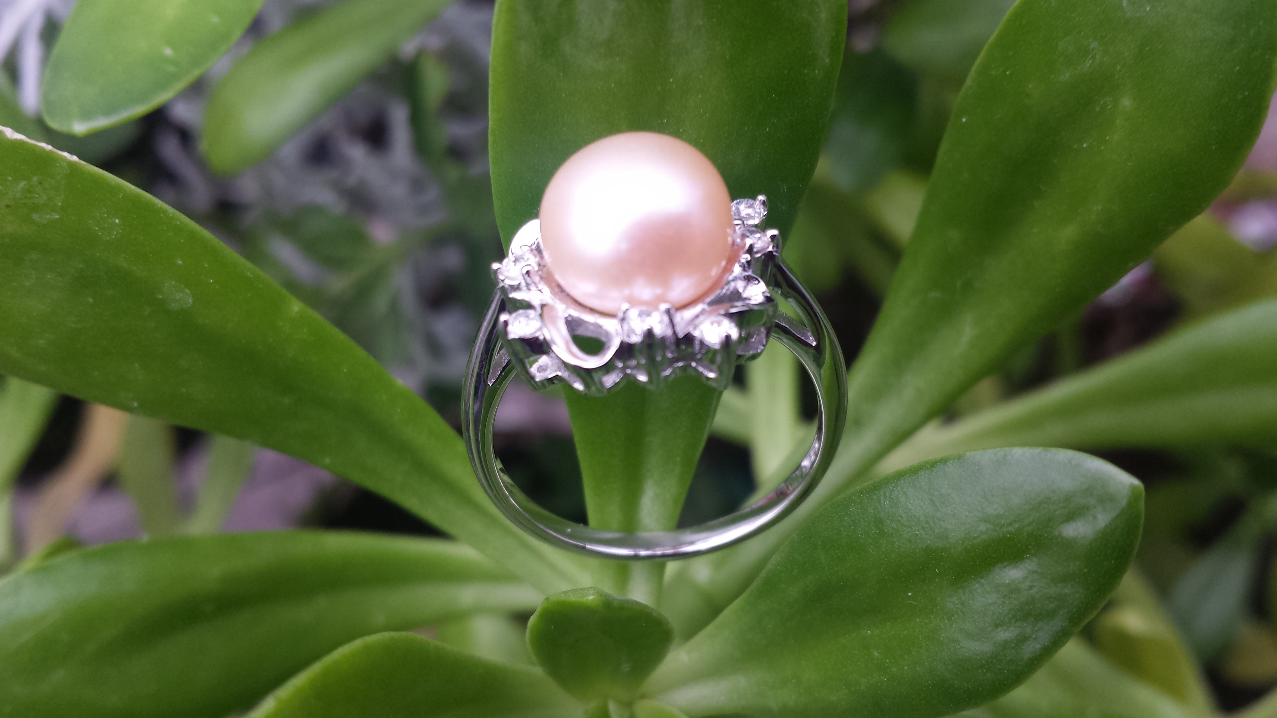 LOVELY CULTURED FRESHWATER PEARL RING WITH 925 STERLING SILVER